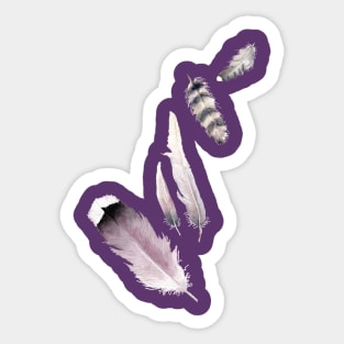 Purple Feathers Sticker